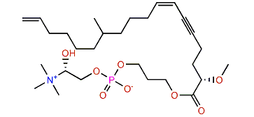 Stellettacholine A